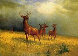 Albert Bierstadt Famous Paintings - Deer in a Field